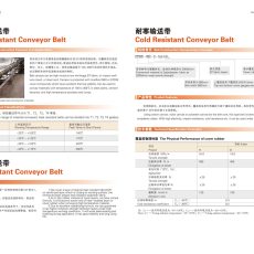 耐寒/高温/灼烧输送带